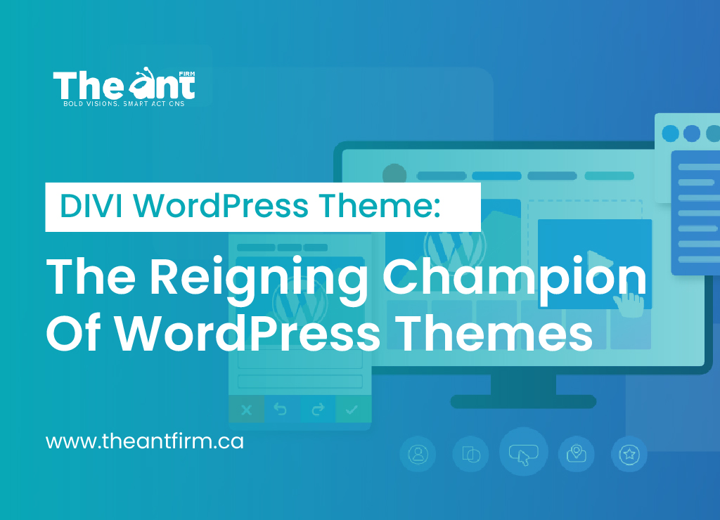 DIVI WordPress Theme