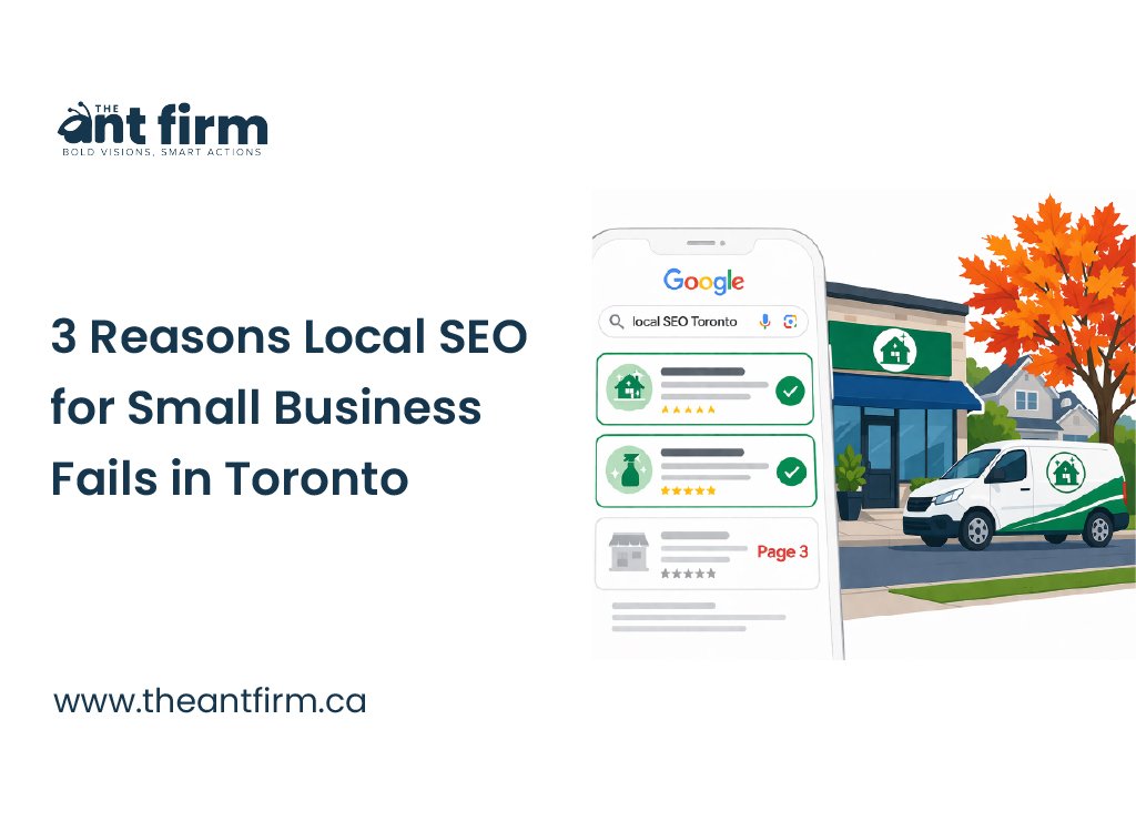 local SEO for small business - The Ant Firm