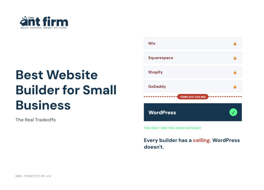 best website builder for small business - The Ant Firm