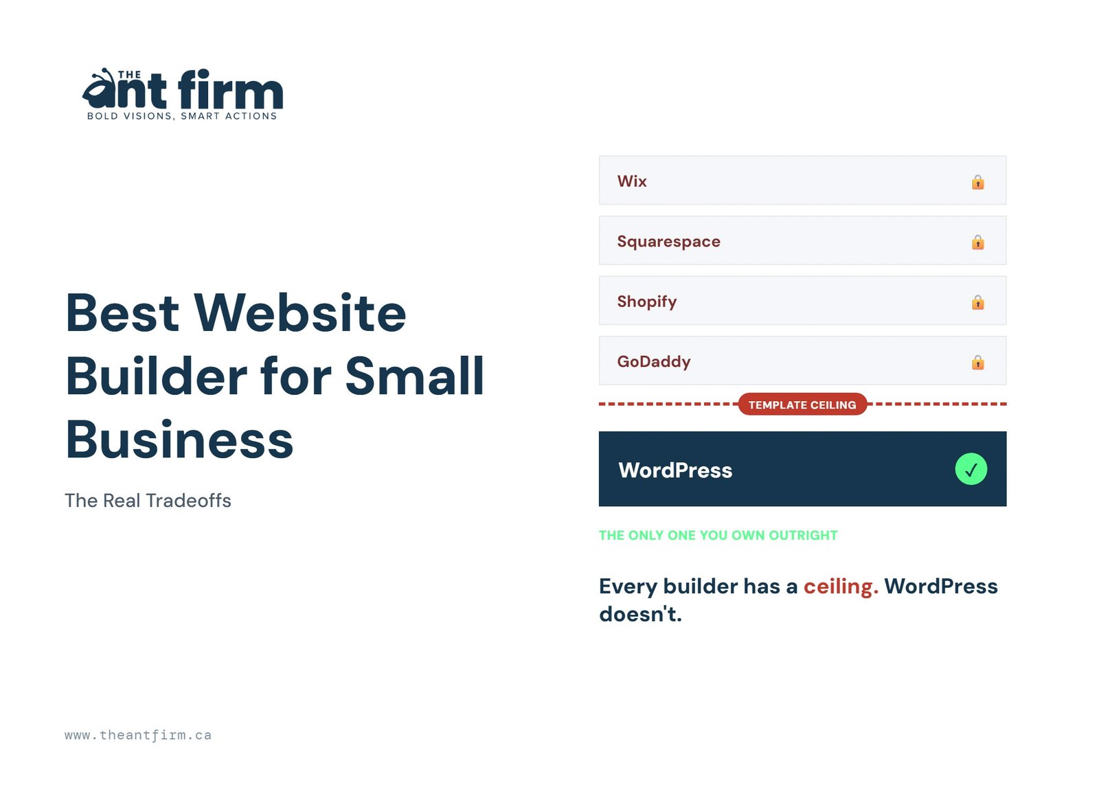 best website builder for small business - The Ant Firm