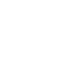 Shield icon